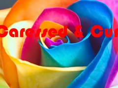 Caressed Cum
