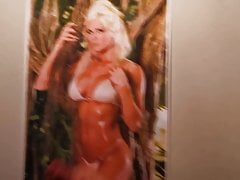 Torrie Wilson Cum Tribute