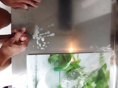 Cum on Kitchen