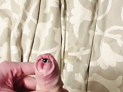 My pierced precum drooling cock closeup