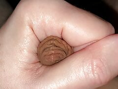 Small Dick Foreskin Rose in my Hand