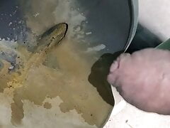 Aj low piss