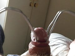 Creamy foreskin in sunshine - 30 minutes