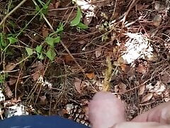 Outdoor Piss in Park (1)