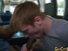 Straighty Smashes Black Stiffy