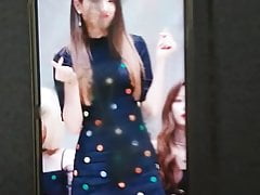 Formis 9 Gyuri Cum Tribute