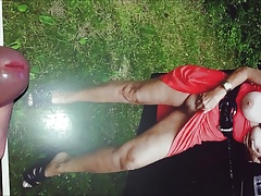 Tribute fuer geile Ficksau Marion