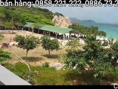 RAVAGE OUT OF THE MOTEL BOARD