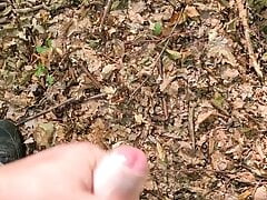cum im Wald
