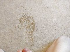 Pissing on my bedroom carpet