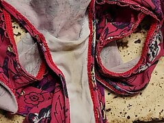 I finally cum on my sister in law's dirty panties