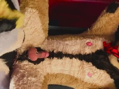 LiondogAri Group Sex Pt two