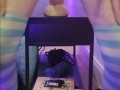 Puppy railing massive pony fuckpole