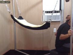 Homemade DILF assdrilled in sling after giving blowjob
