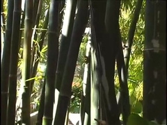 Lost On Sex Island - Pacific Sun Entertainment