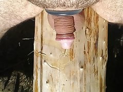 pisse laufen lassen