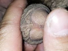 Asian precum closeup