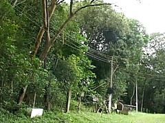 Horny guys fuck in the nature