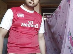 Desi Land