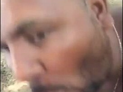 Bear sucking and eating258
