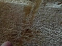 Pissing on my bedroom carpet