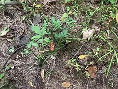 Cumming in the woods
