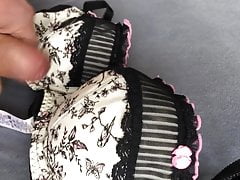 Afternoon wank with stolen bra