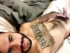 peludo este