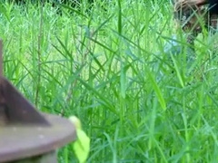 Public barebacking scene 2