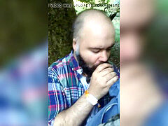 Bearded wolf suicking rod in the forest