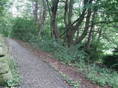 On the hiking trail