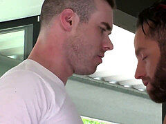 Hd videos, gay porn, whiskerd03