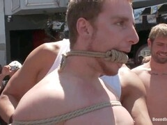 Twunk, caning, gang-fuck