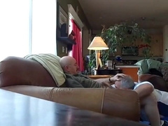 Silver Fox Servicer7777