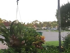 Early Morning Masturbation In The Hood