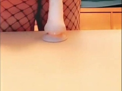 SiroBunny wants more