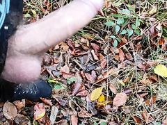 cumming outdoor in forest