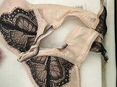 Bra tribute cum