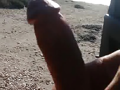 Un dia morboso