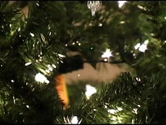 Hot Young Twinks Blowjob Under the Christmas Tree