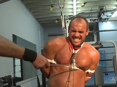 Obedient male wants his master's cock in a dirty bondage treat