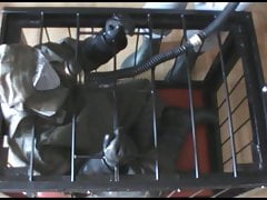 Caged Zodiak - part 2.