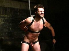 Bisexual dude with great muscles wants to be teased