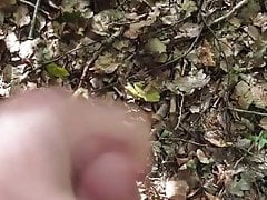 Spontan Abwichsen im Wald