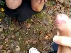 Cruising in the forest