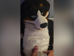 Lewdmindedlynx Helps Angrybarks Through His Rut Week Cums Inside And On His Feet Paws