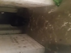 Ungeziefer im Keller