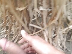 Indian Desi gay unstoppable video watch now