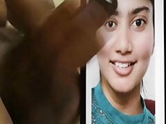Sai Pallavi hot extression