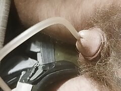 Tiny cock inflated into bladder by johnnie bi mtf